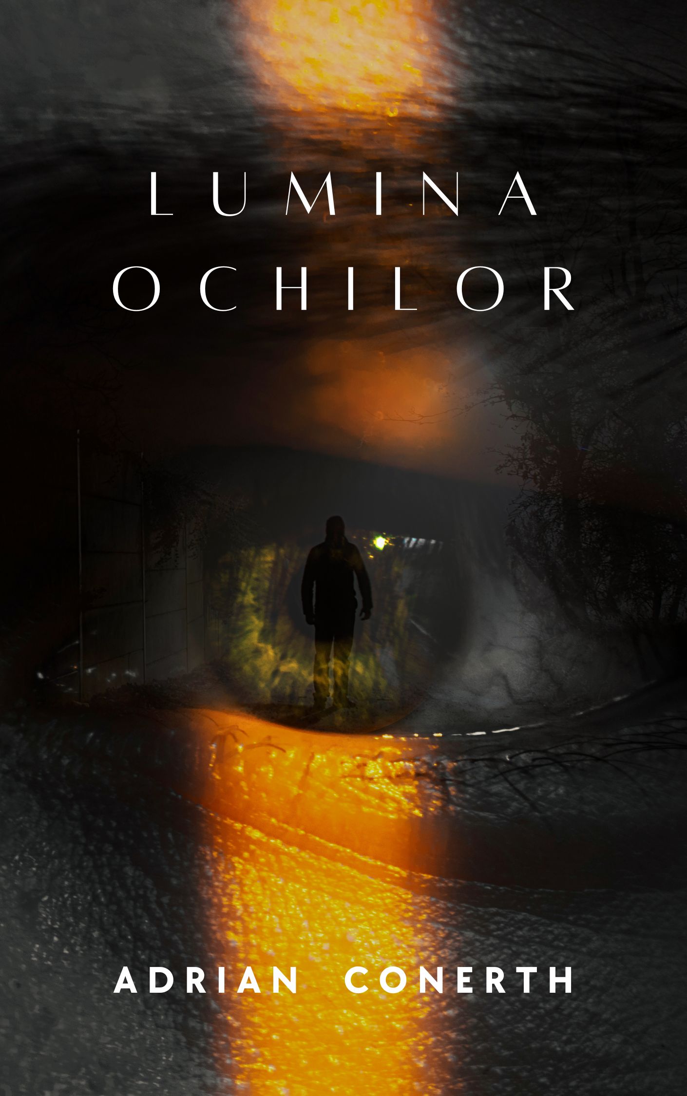 Cover image for LUMINA OCHILOR