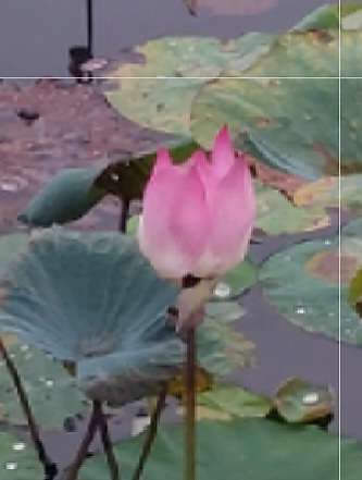 One's greatest nemesis