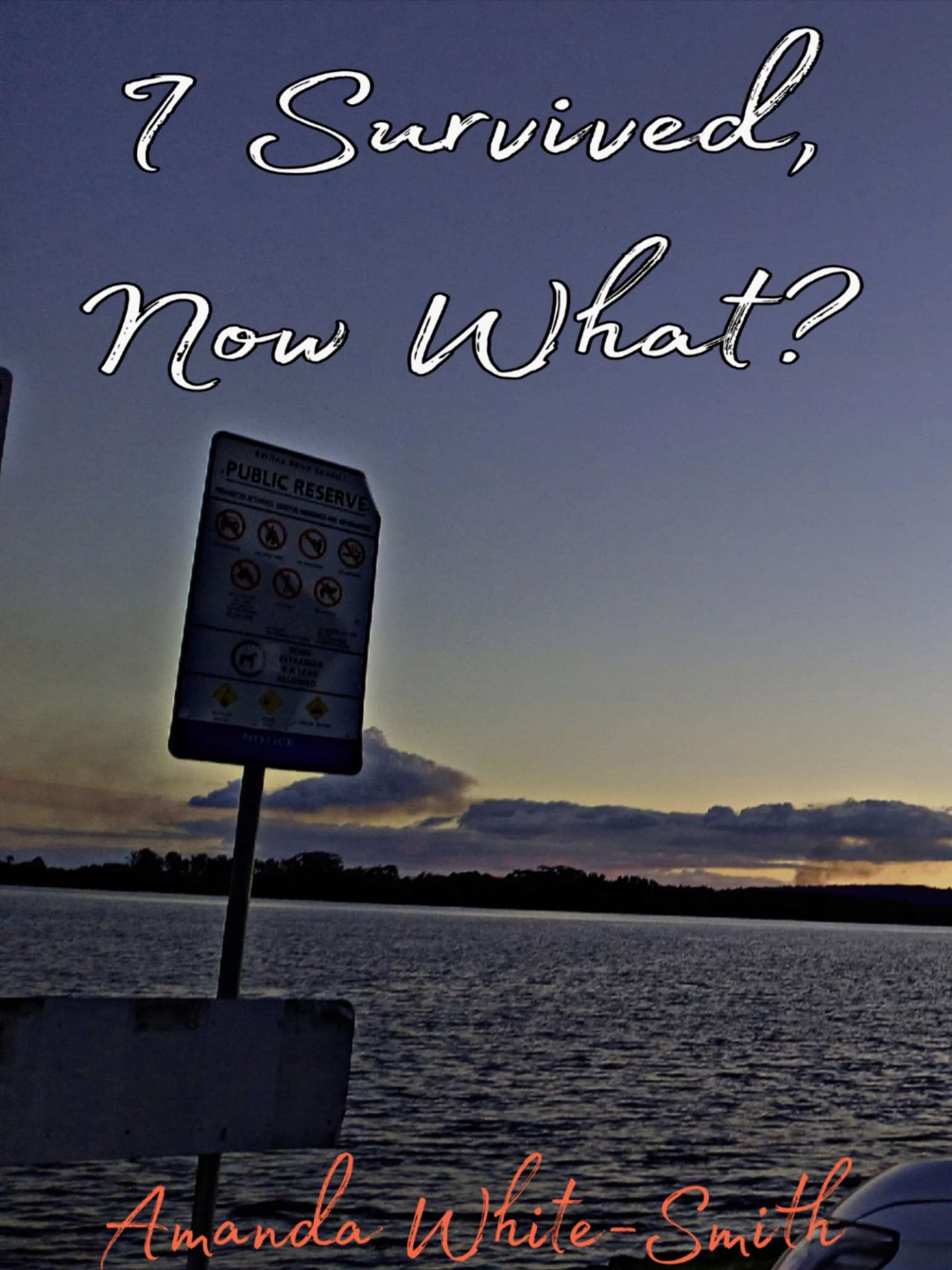 I Survived, Now What?