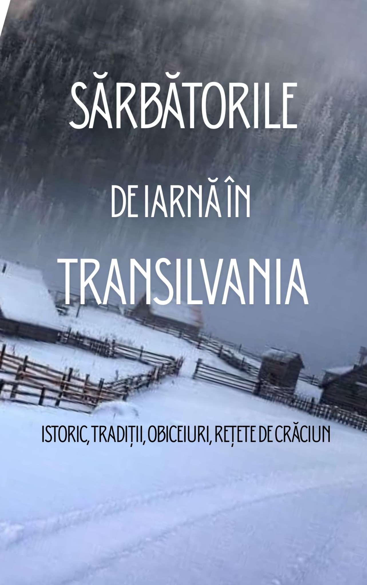 SĂRBĂTORILE DE IARNĂ ÎN TRANSILVANIA