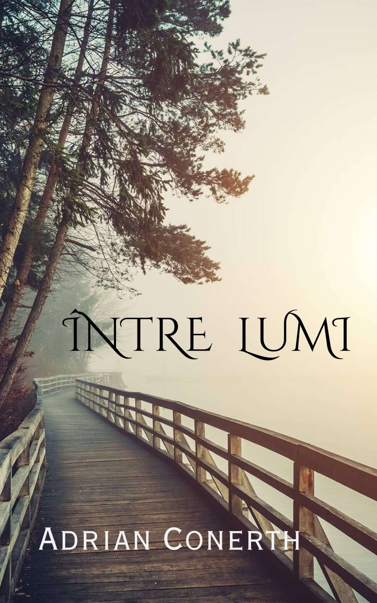 Între lumi