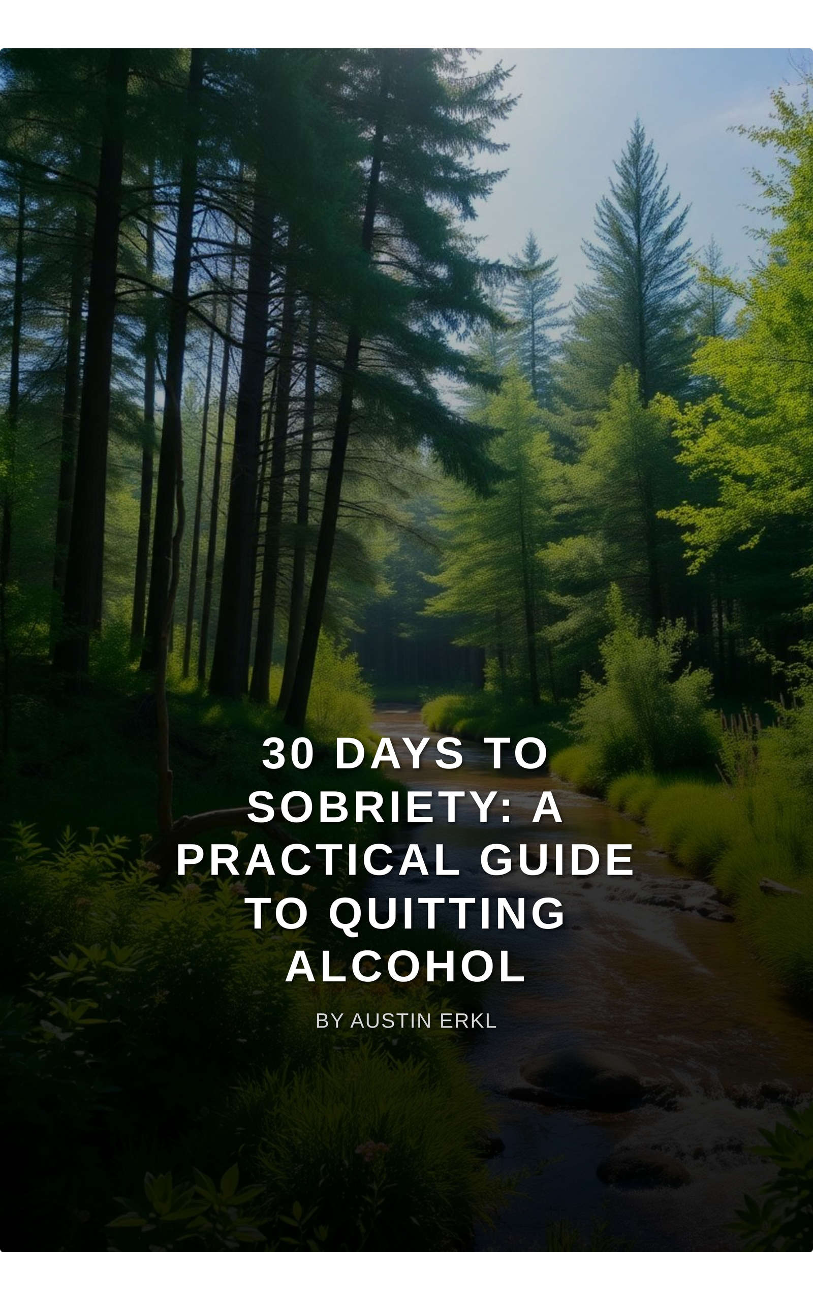 30 Days to Sobriety: A Practical Guide to Quitting Alcohol