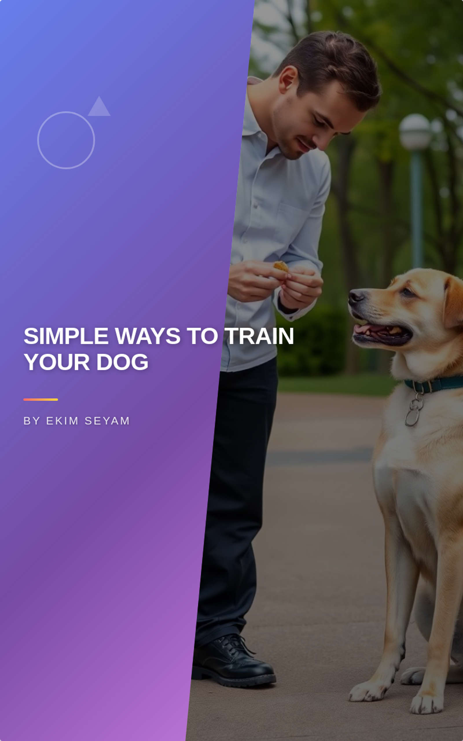 Simple ways to train your dog