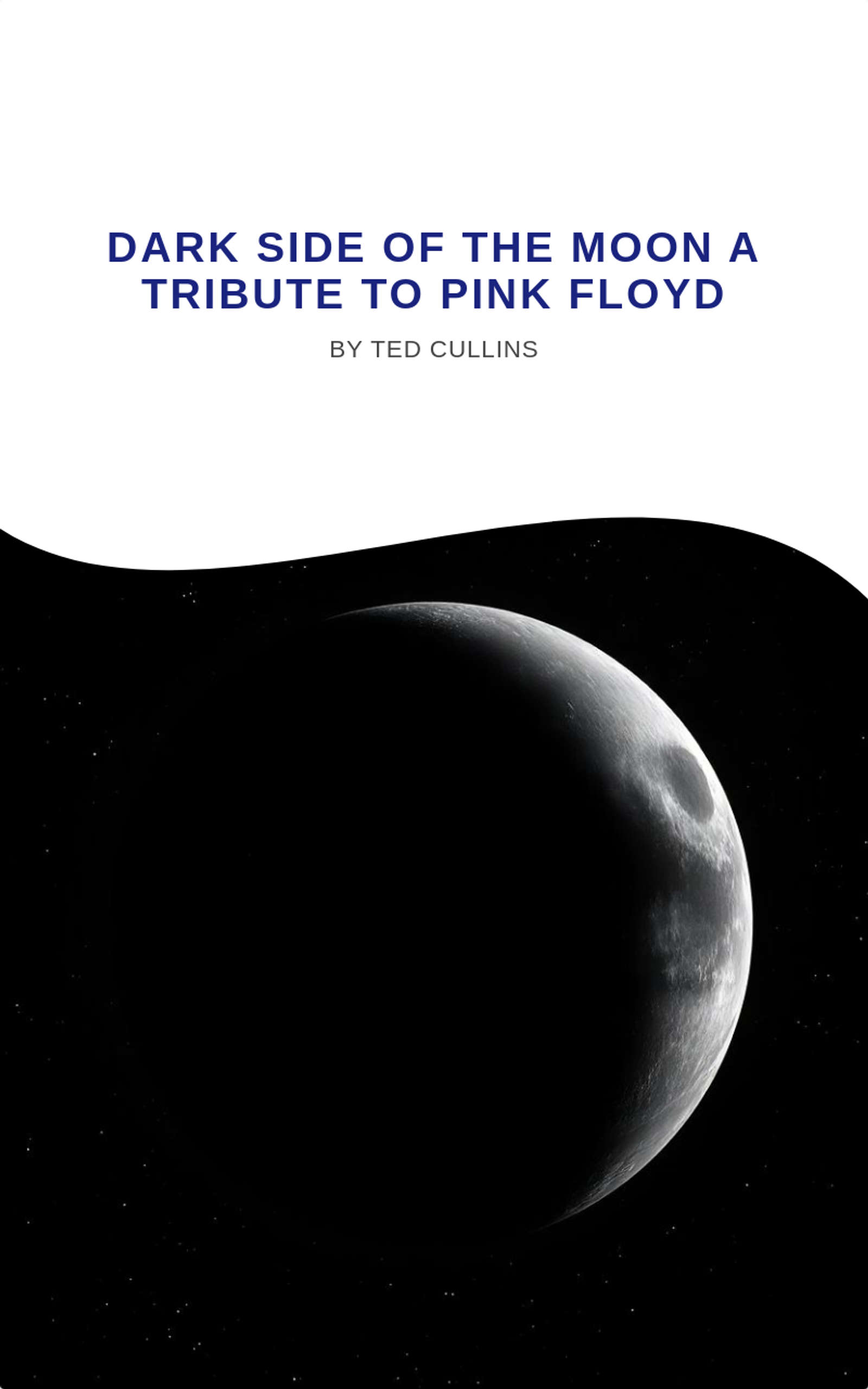 Dark Side of the moon a tribute to Pink Floyd 