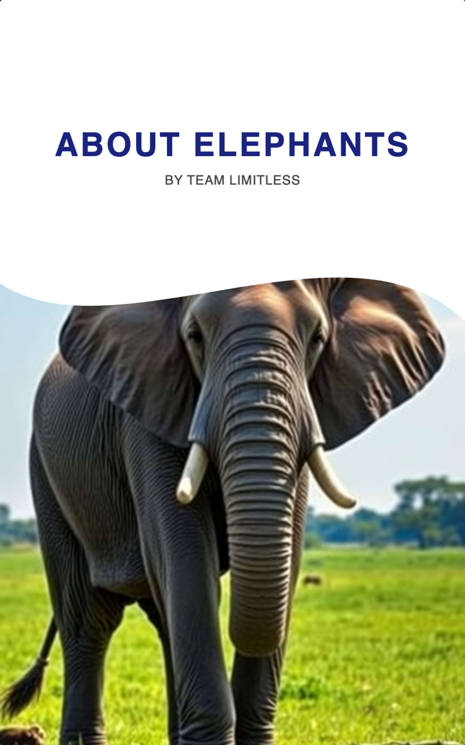 About elephants