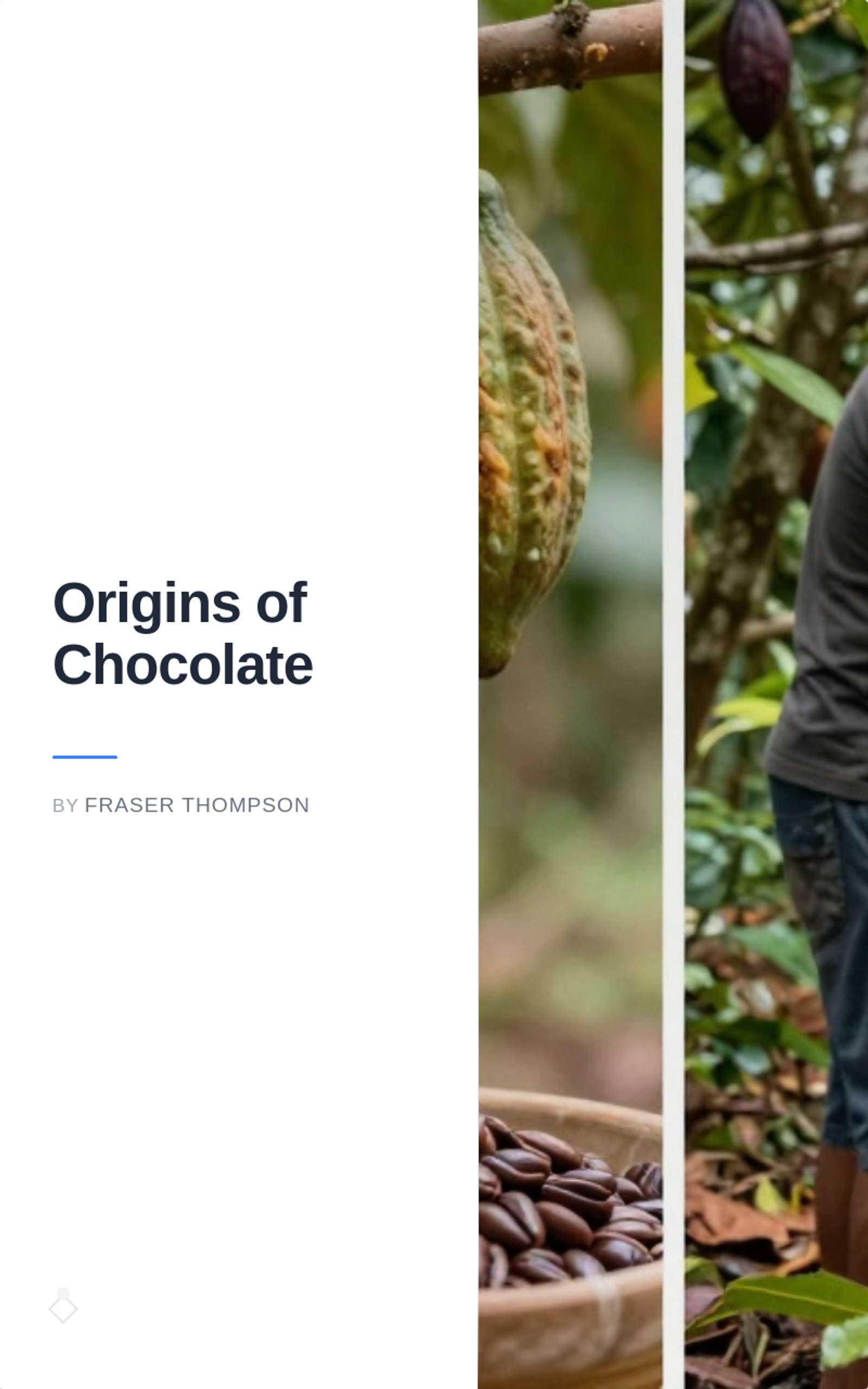 Origins of Chocolate