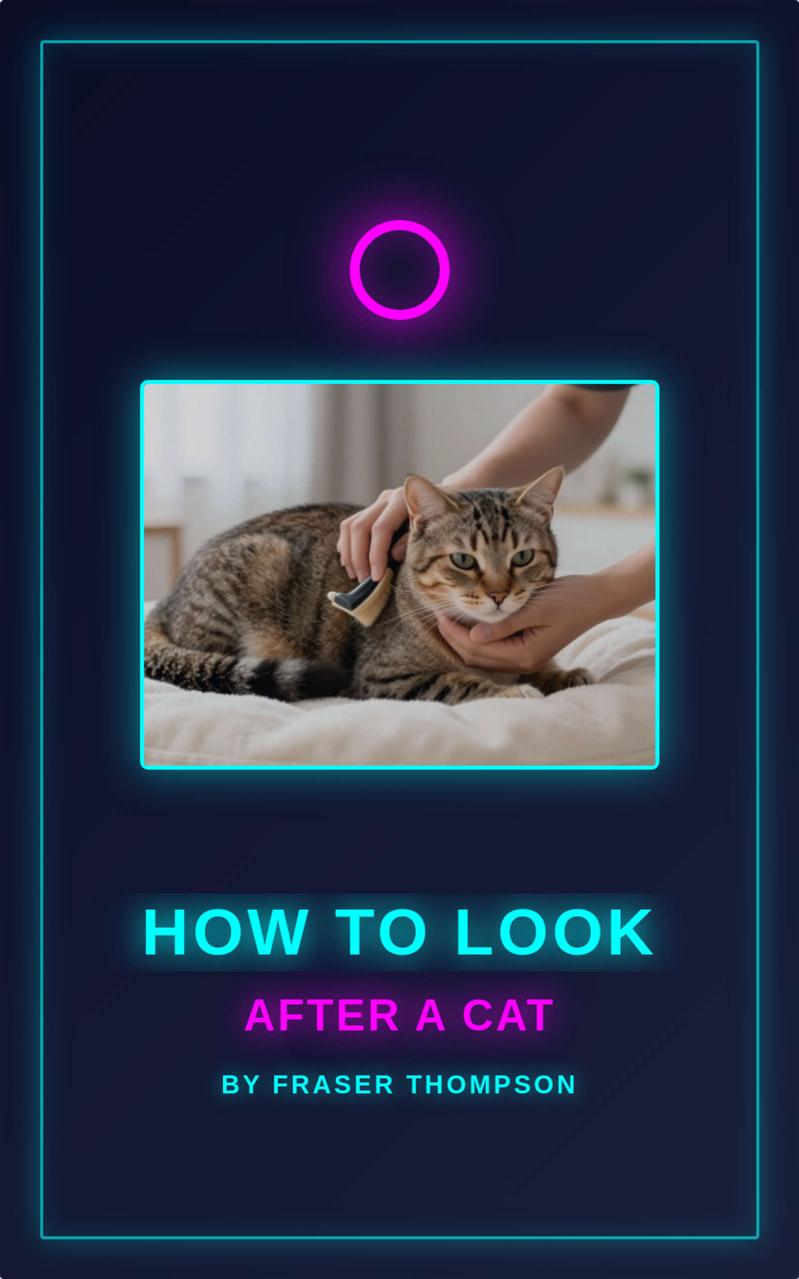 How to Look After A Cat by Fraser Thompson