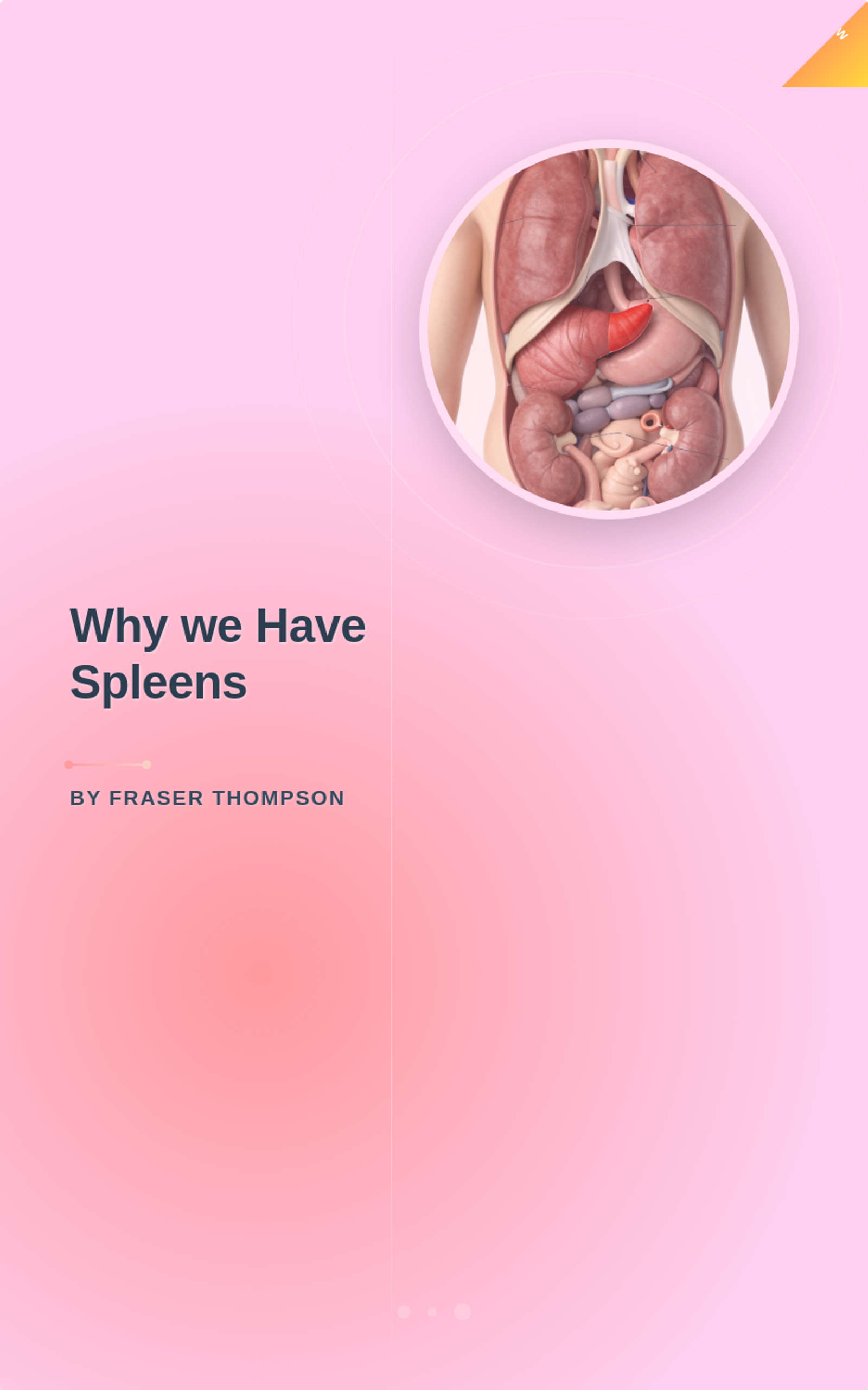 Why we Have Spleens