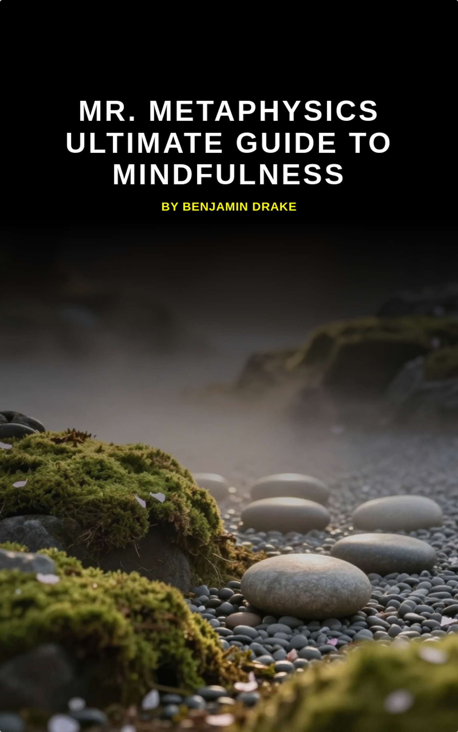 Mr. Metaphysics Ultimate Guide to Mindfulness