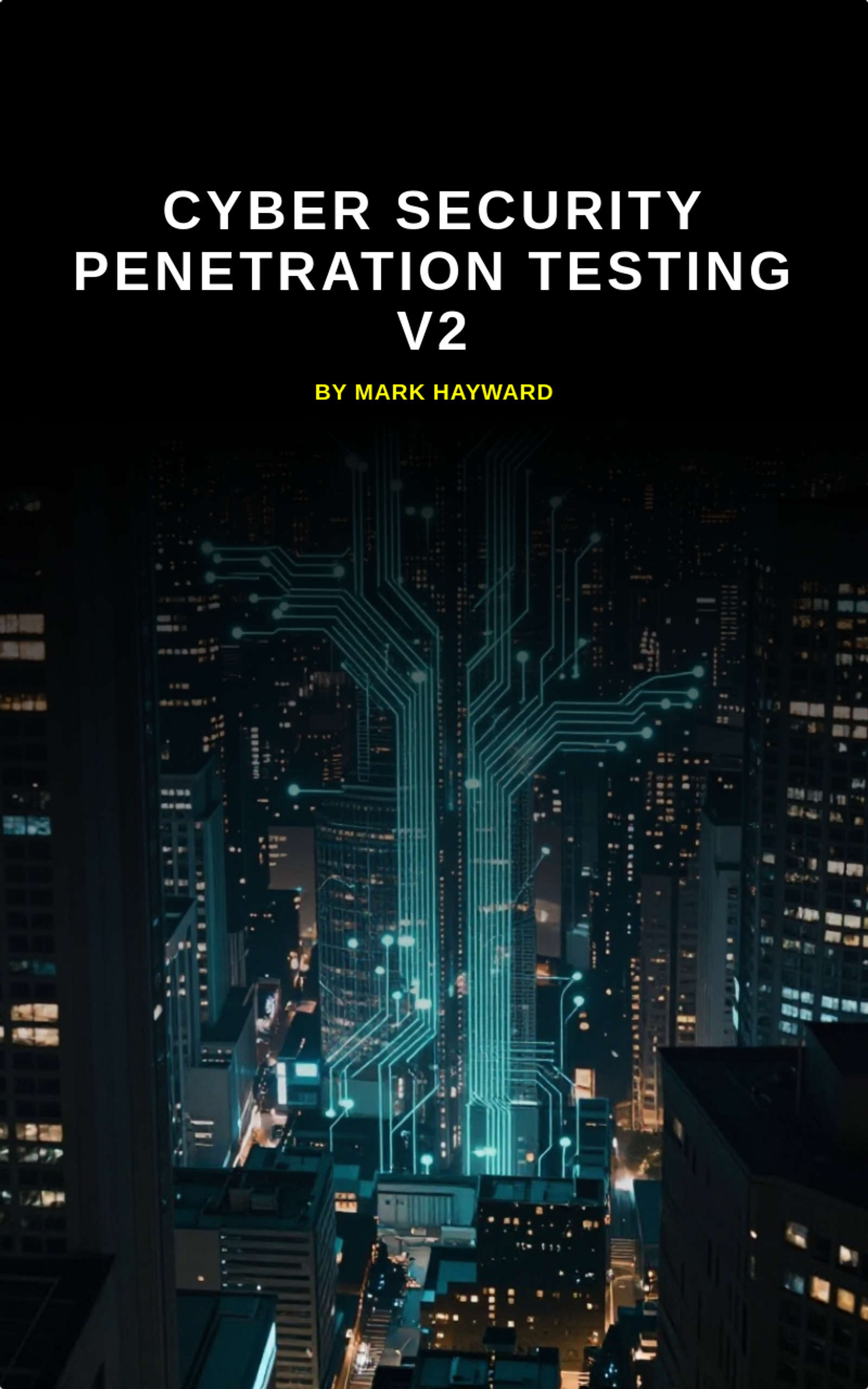 Cyber Security Penetration Testing v2