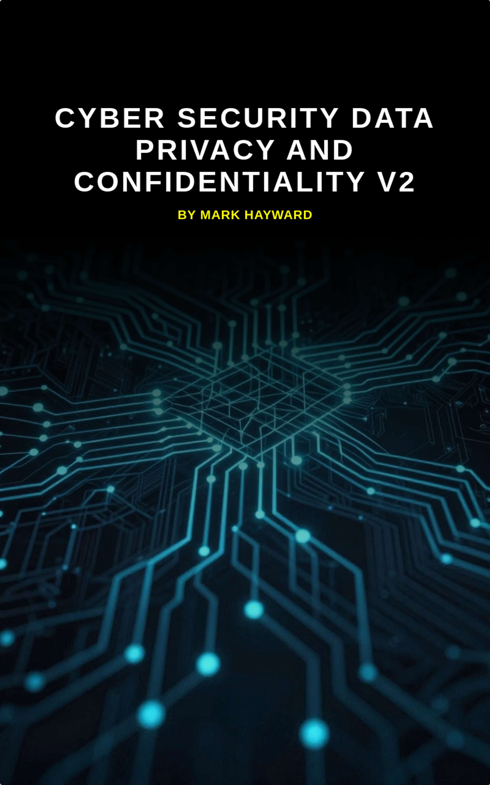 Cyber Security Data Privacy and Confidentiality v2