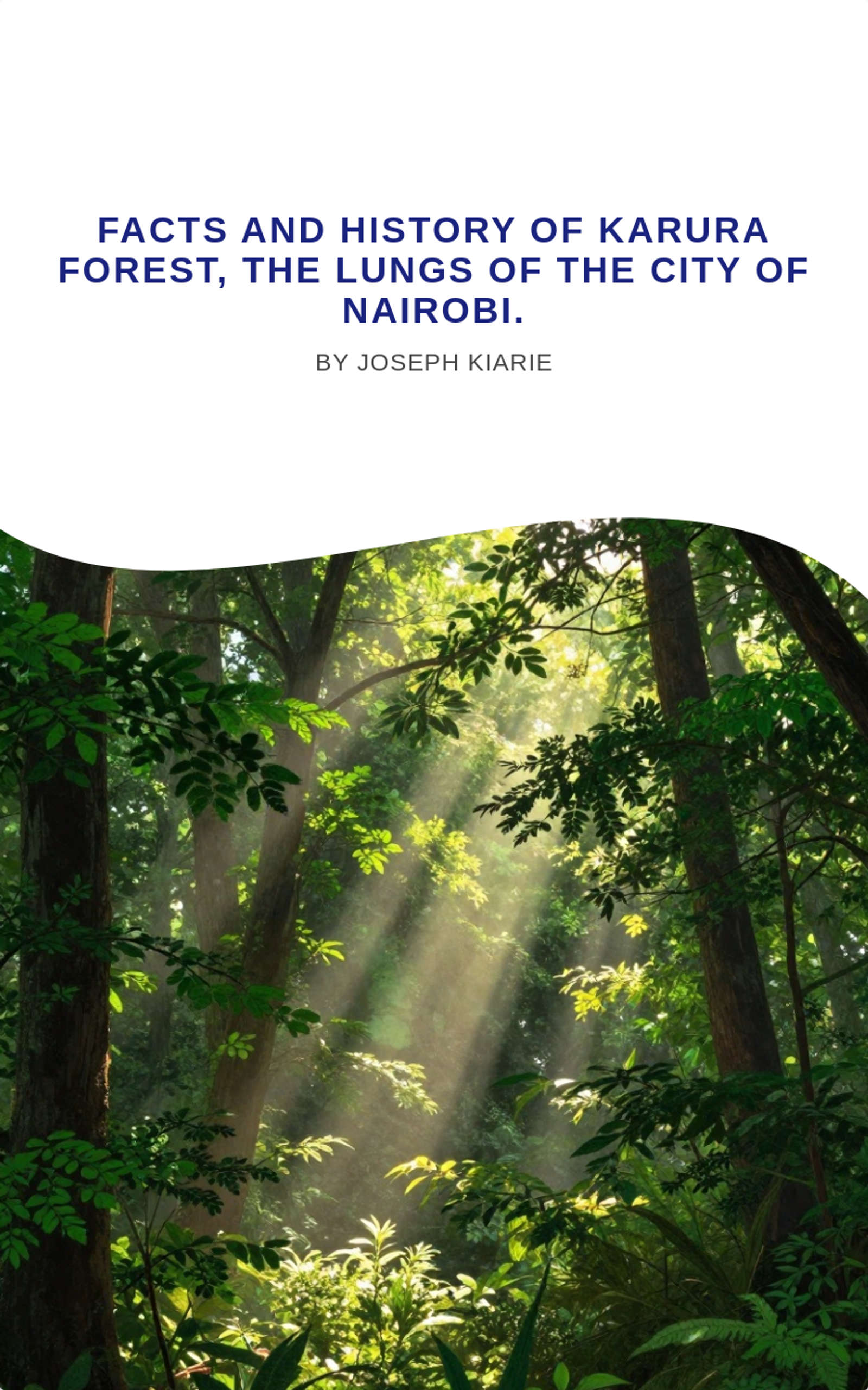 Facts and History of Karura Forest, the lungs of the City Of Nairobi.