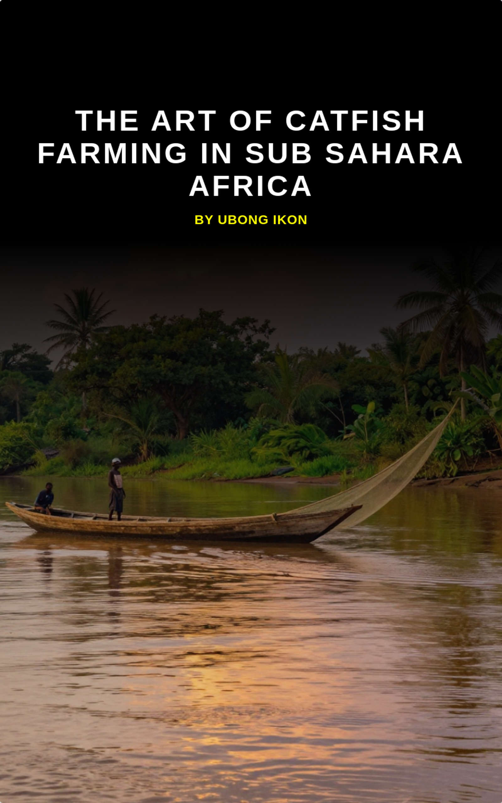 The Art Of Catfish Farming In Sub Sahara Africa by Ubong Ikon