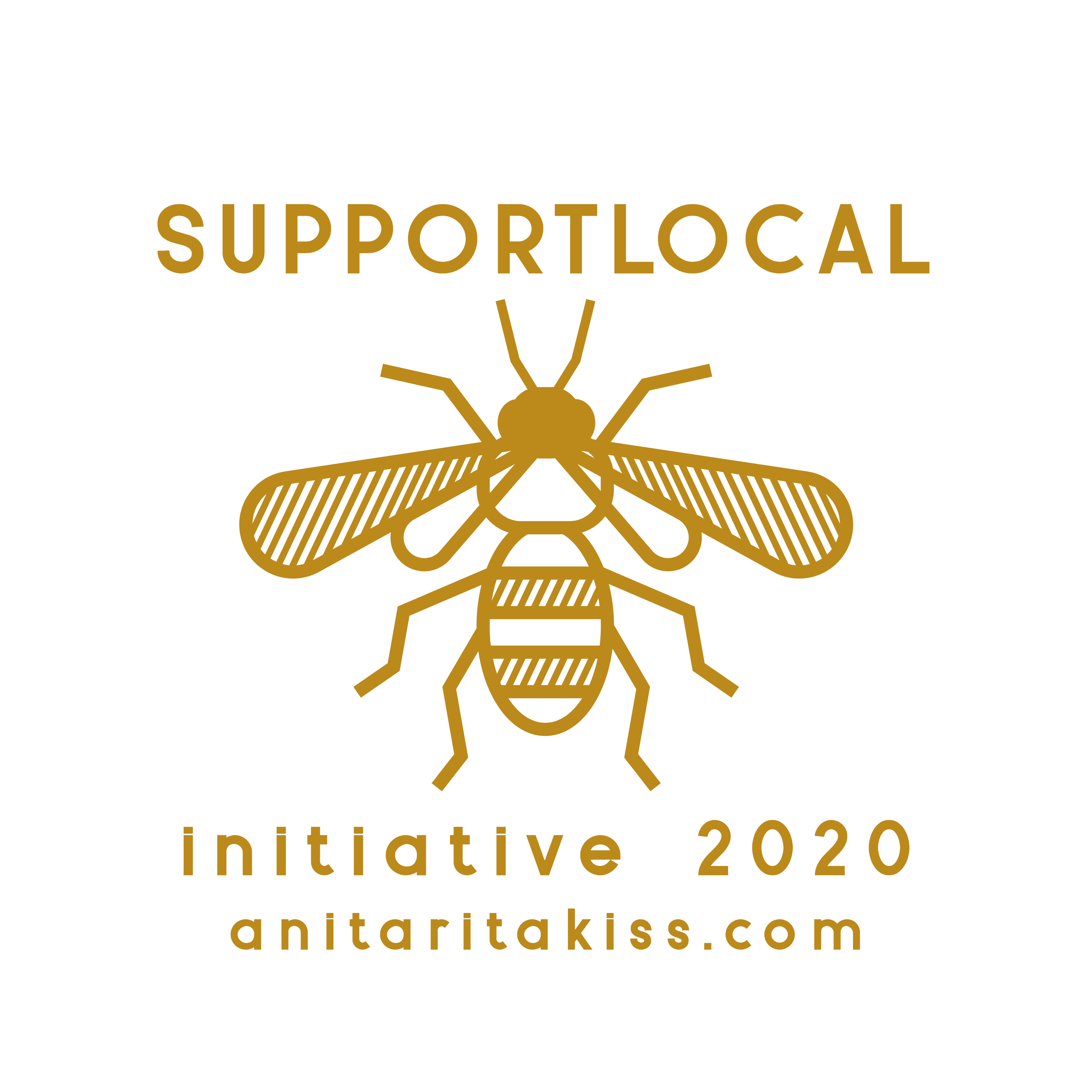 Supportlocalinitiative.Org